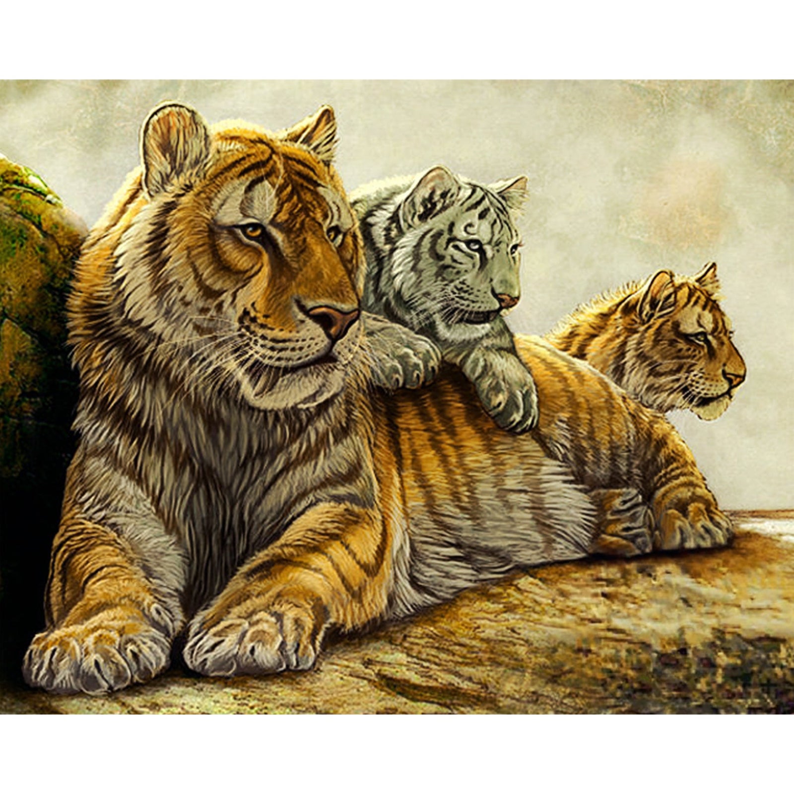 Wild Tigers | Diamond Painting Design - Full Drill Diamond Art with 5d Square or Round Diamonds - AB Drills Available