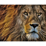 Predator | Diamond Painting Design - Full Drill Diamond Art with 5d Square or Round Diamonds - AB Drills Available