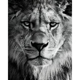 King of the Pride | Diamond Painting Design - Full Drill Diamond Art with 5d Square or Round Diamonds - AB Drills Available