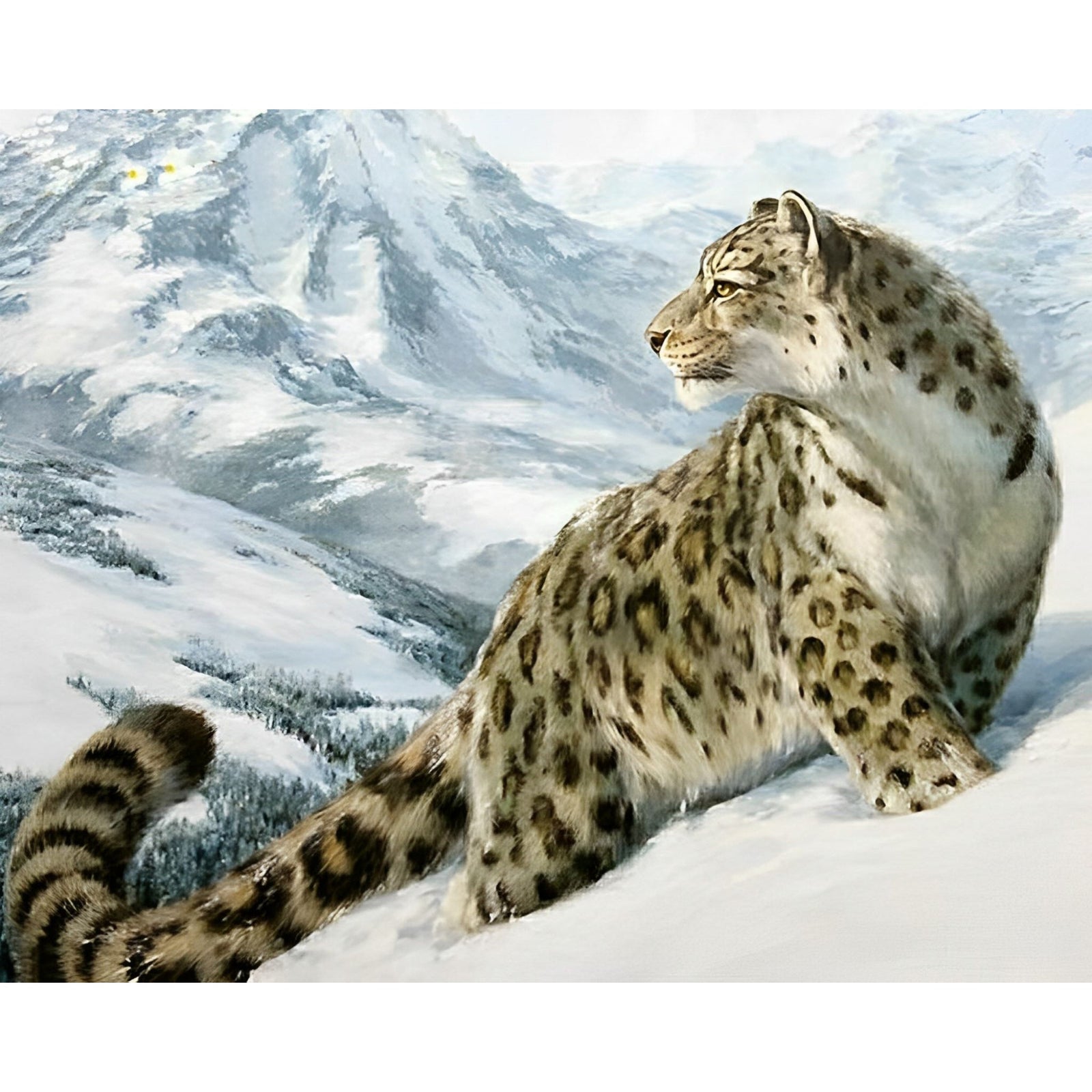 A Snow Cheetah | Diamond Painting Design - Full Drill Diamond Art with 5d Square or Round Diamonds - AB Drills Available