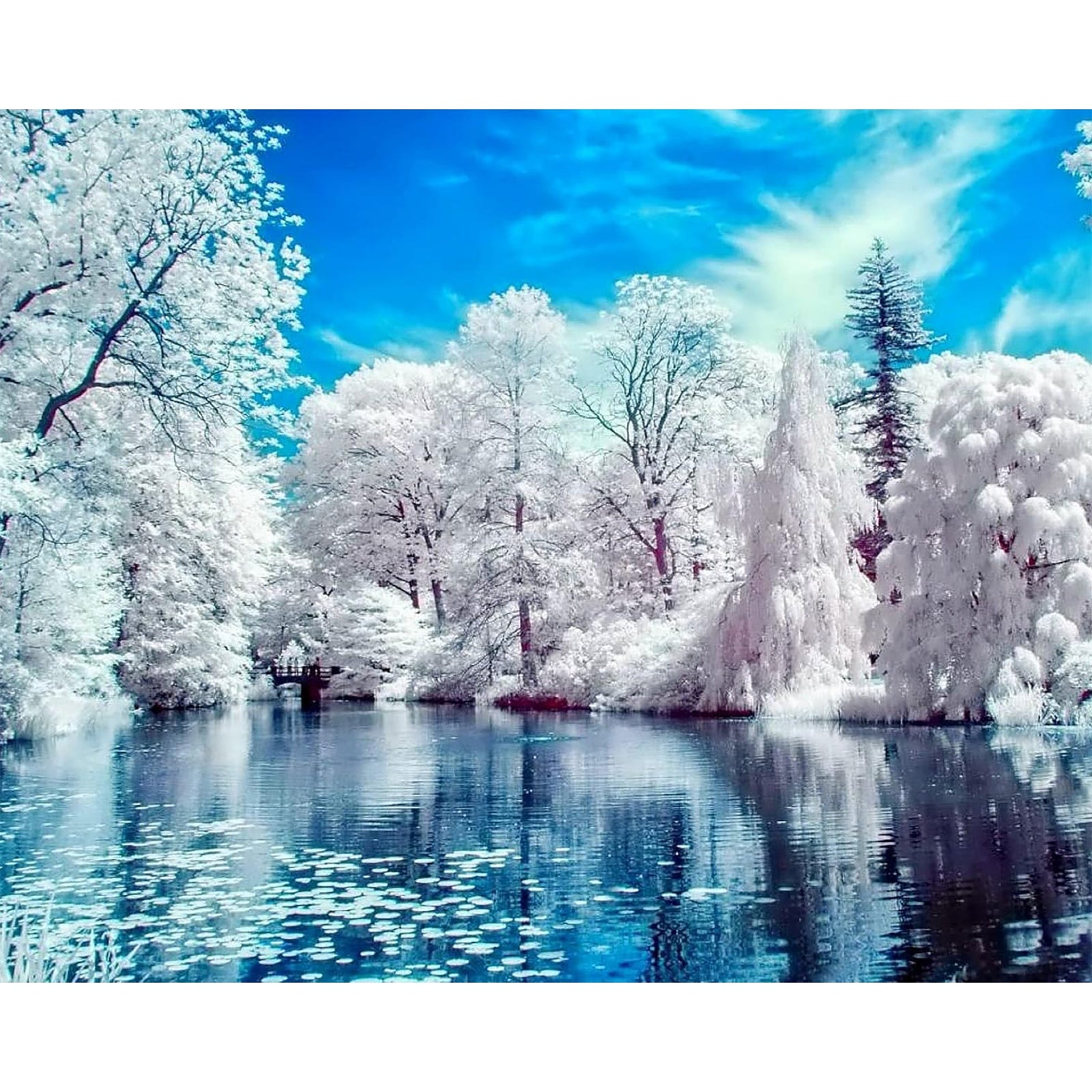 Lake of Frozen Trees | Diamond Painting Design - Full Drill Diamond Art with 5d Square or Round Diamonds - AB Drills Available