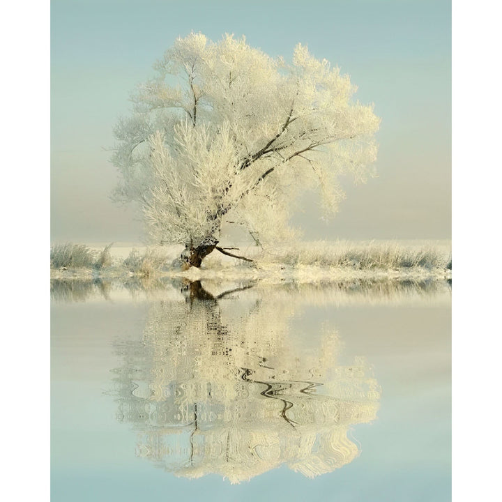 Winter Tree by the Lake | Diamond Painting
