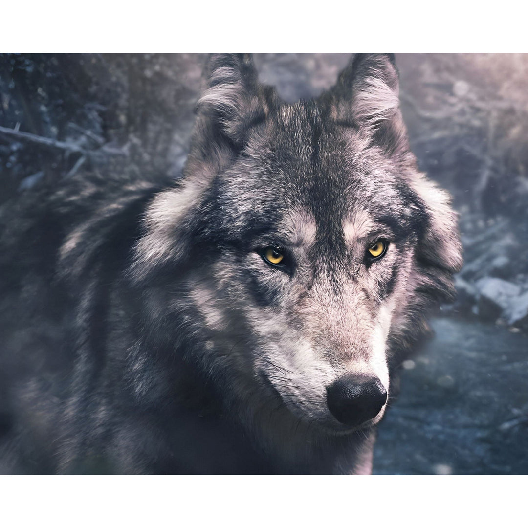 Handsome Wolf | Diamond Painting