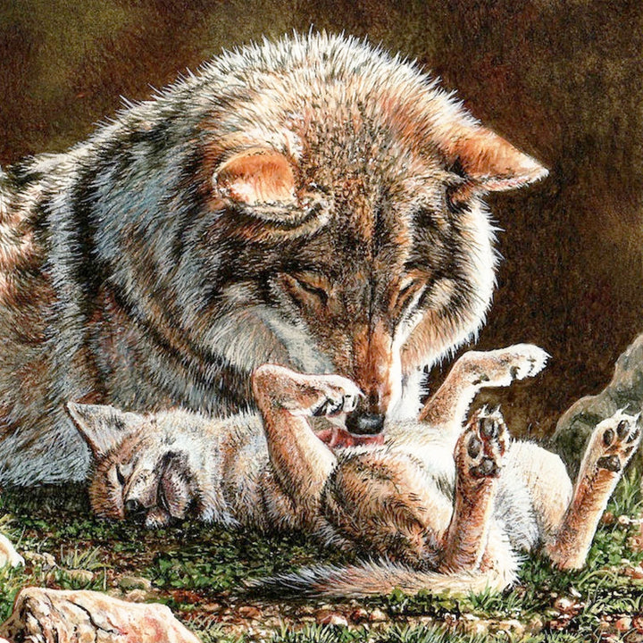 Mother wolf and cub | Diamond Painting