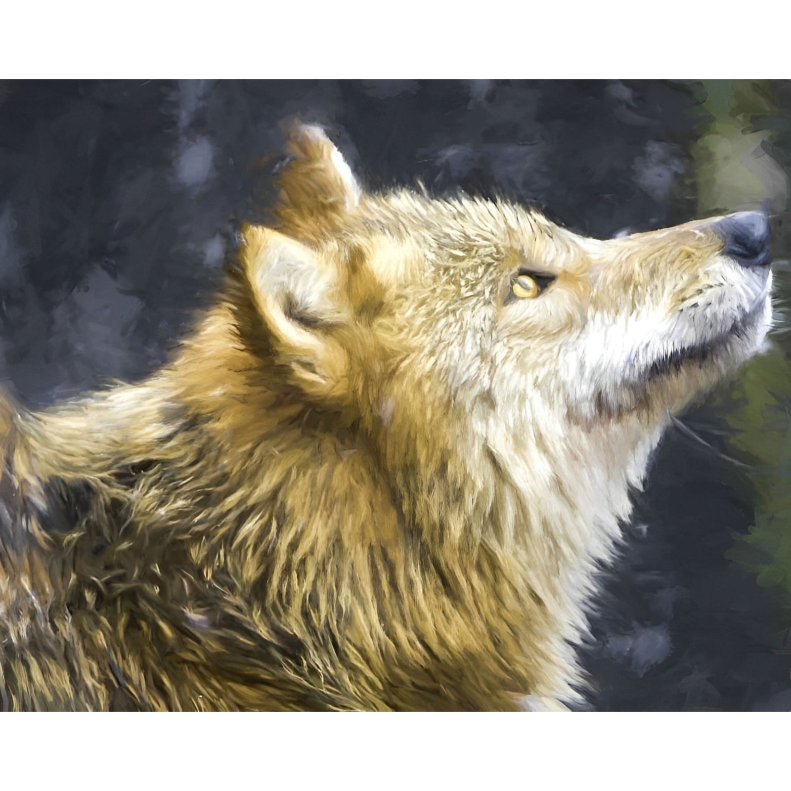 Wolf Stares | Diamond Painting Design - Full Drill Diamond Art with 5d Square or Round Diamonds - AB Drills Available