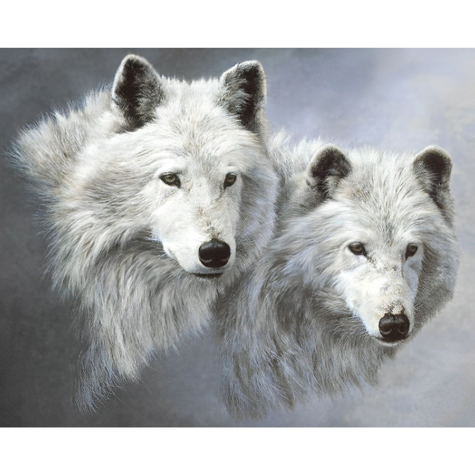 White Wolves | Diamond Painting Design - Full Drill Diamond Art with 5d Square or Round Diamonds - AB Drills Available