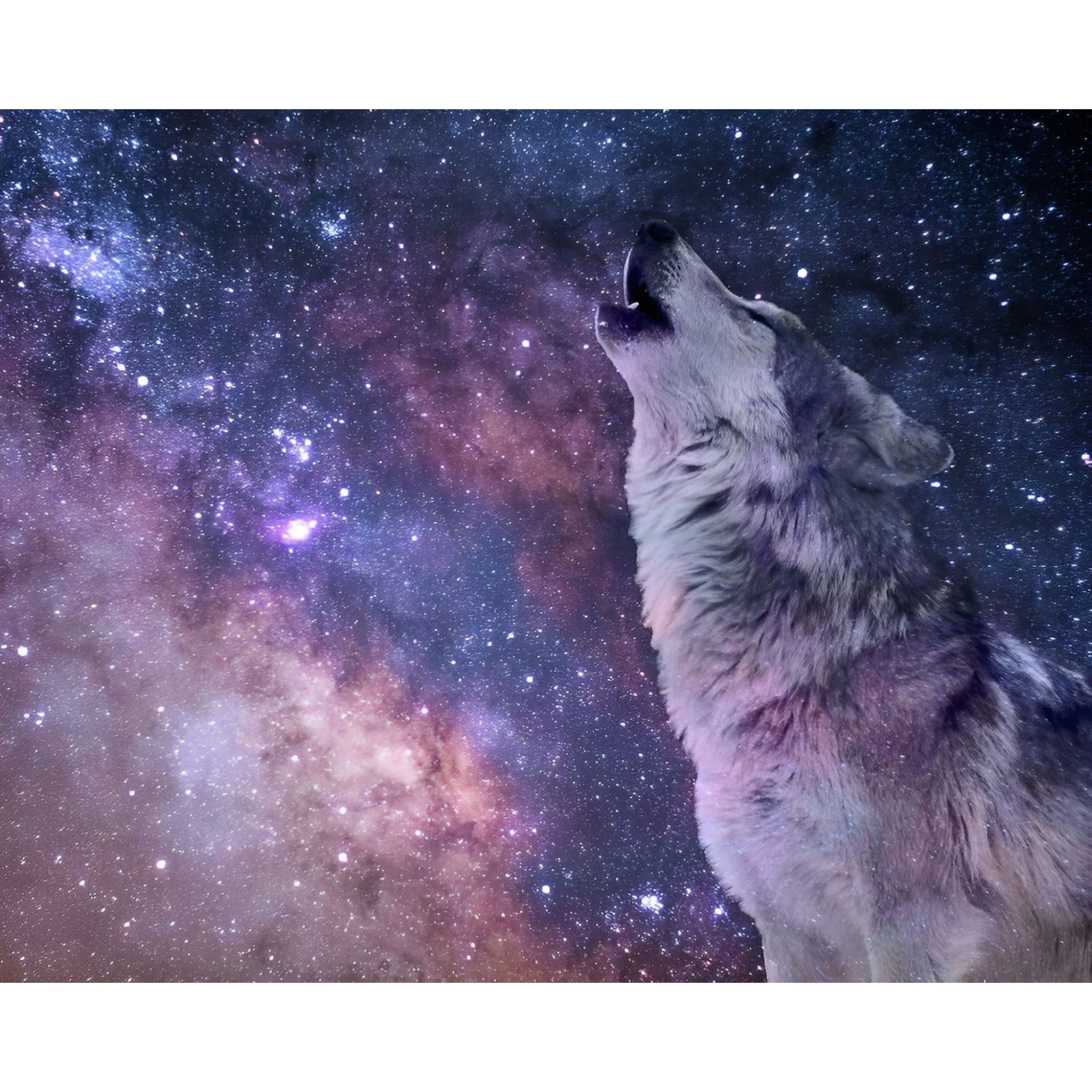 Wolf Under the Stars | Diamond Painting Design - Full Drill Diamond Art with 5d Square or Round Diamonds - AB Drills Available