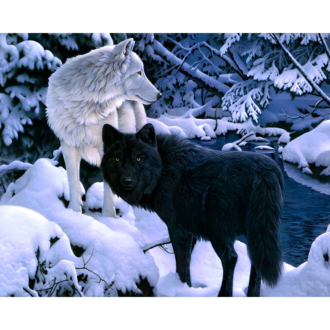 Black and White Wolves | Diamond Painting