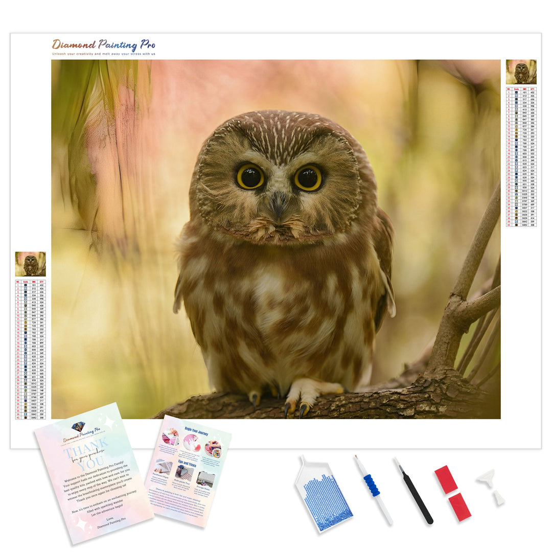 Cute Owl | Diamond Painting Kit - Full Drill - Square or Round Diamonds with AB Drills Option