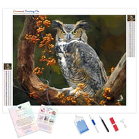 Wise Owl | Diamond Painting