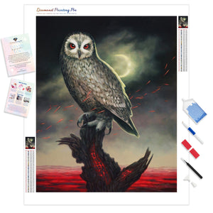 Enchanted Owl | Diamond Painting