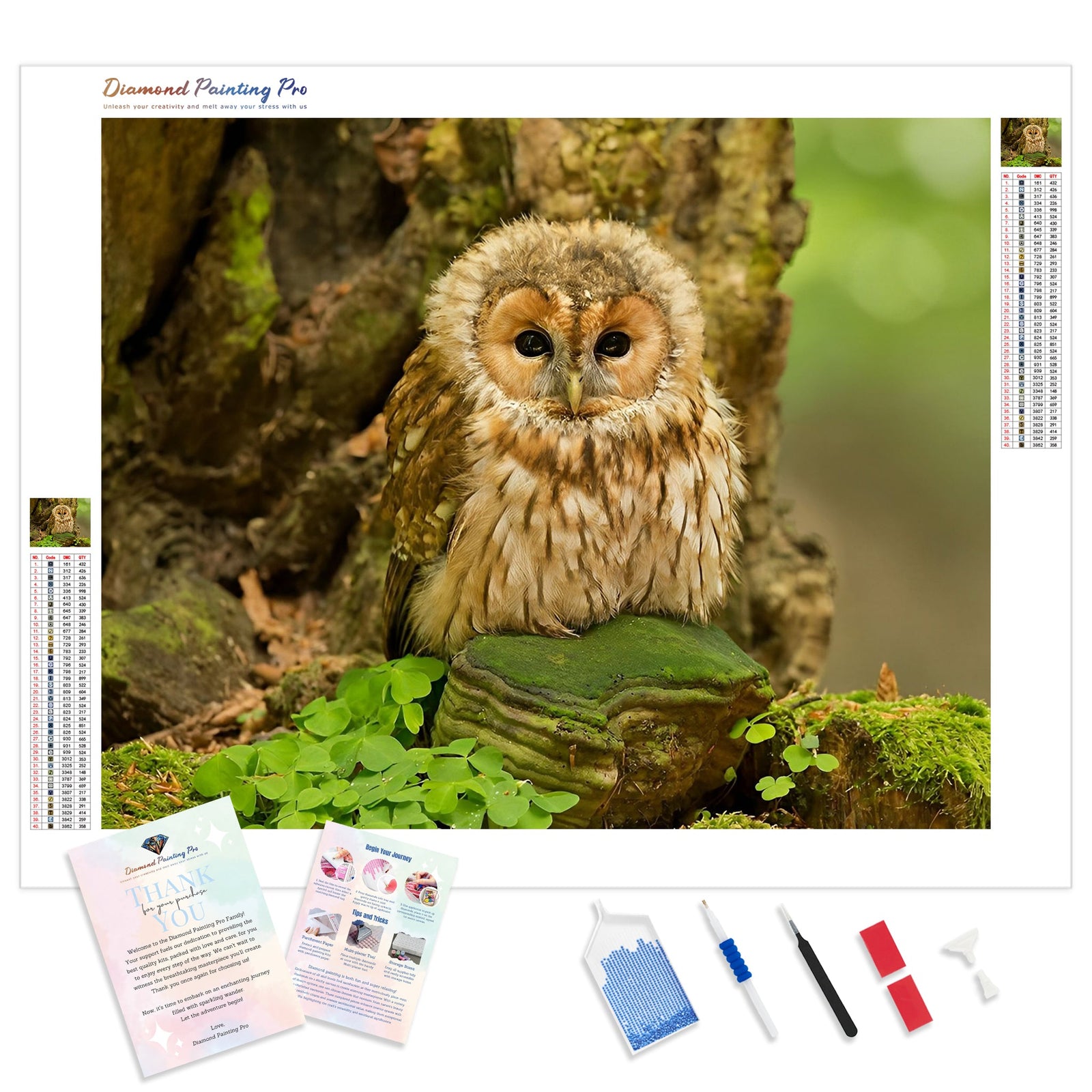 Forest Ground Owl | Diamond Painting Kit - Full Drill - Square or Round Diamonds with AB Drills Option