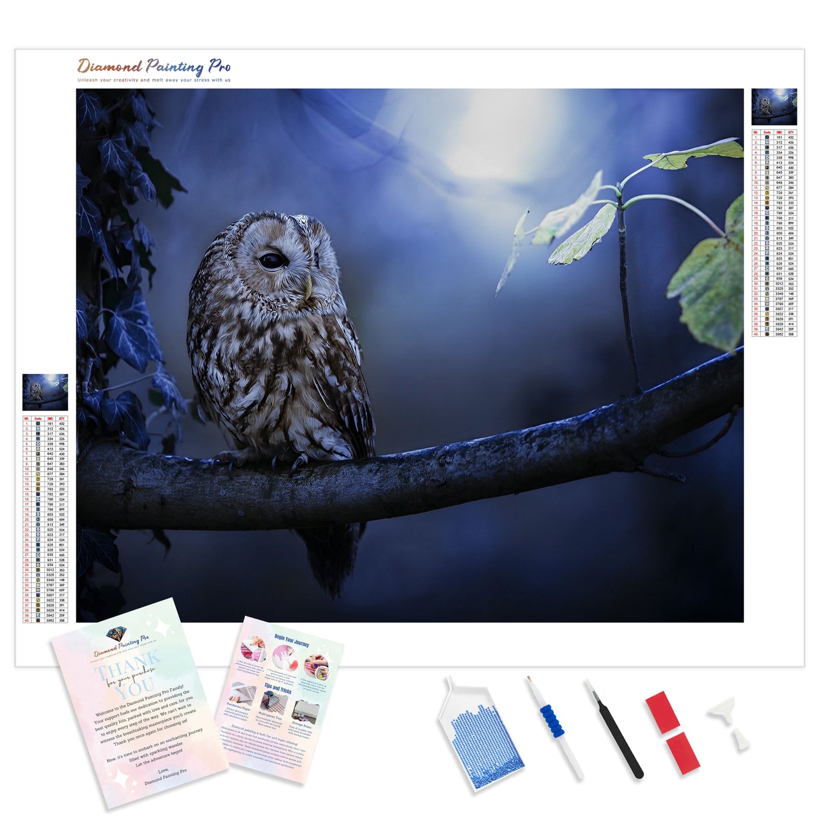 Night Owl Watch | Diamond Painting Kit - Full Drill - Square or Round Diamonds with AB Drills Option