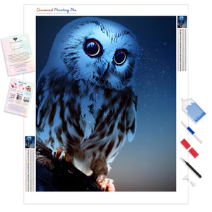 Night Owl Stare | Diamond Painting