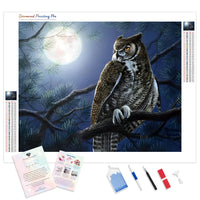 Night Owl | Diamond Painting