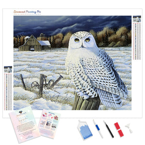 Snow Owl | Diamond Painting