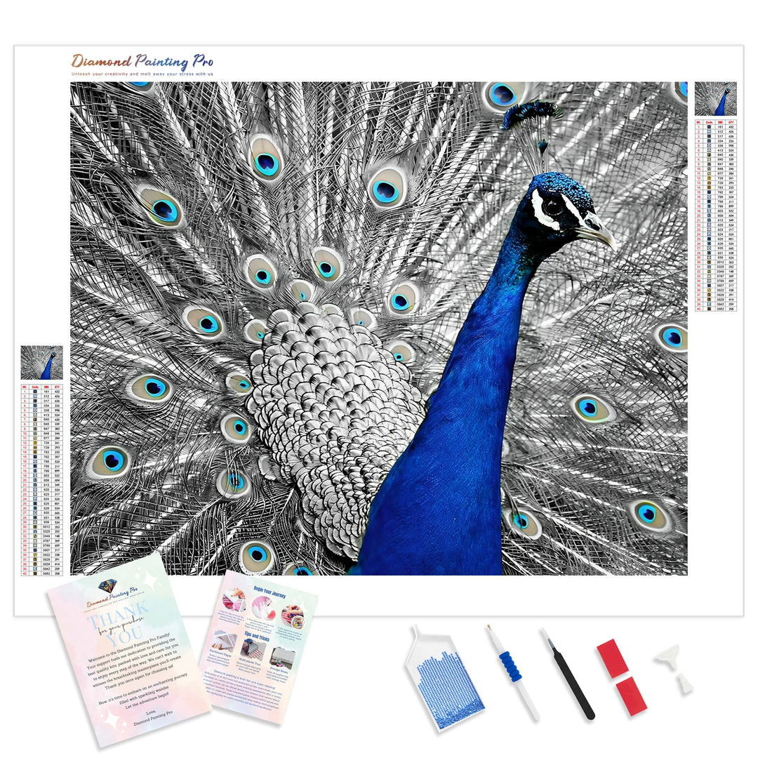 Monochromatic Peacock | Diamond Painting