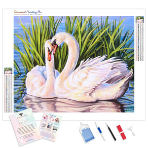 Swans Love Romance | Diamond Painting