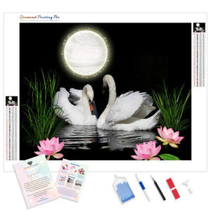 Swans under Moonlight | Diamond Painting