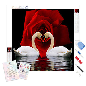 Swans Enchanted Love | Diamond Painting