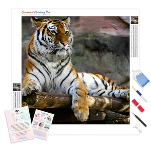 Tiger in Serenity | Diamond Painting