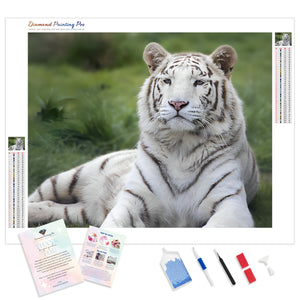 White Tiger Resting | Diamond Painting