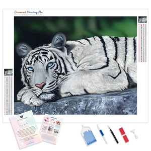 White Tiger Laying | Diamond Painting