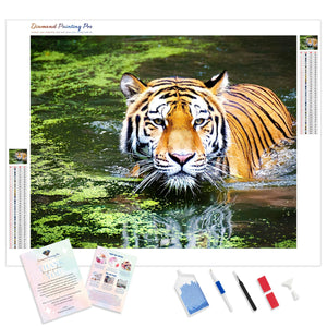 Tiger Swim | Diamond Painting