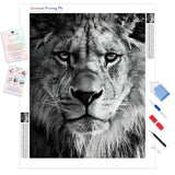 King of the Pride | Diamond Painting Kit - Full Drill - Square or Round Diamonds with AB Drills Option