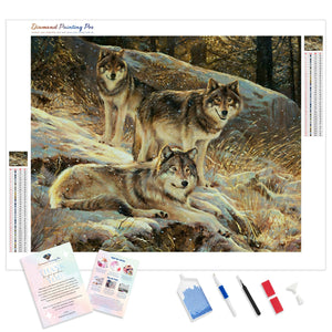 Wolf Packs | Diamond Painting