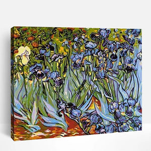 Iris Patch | Paint By Numbers