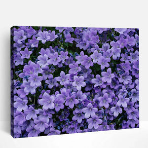 Purple Flower Field | Paint By Numbers