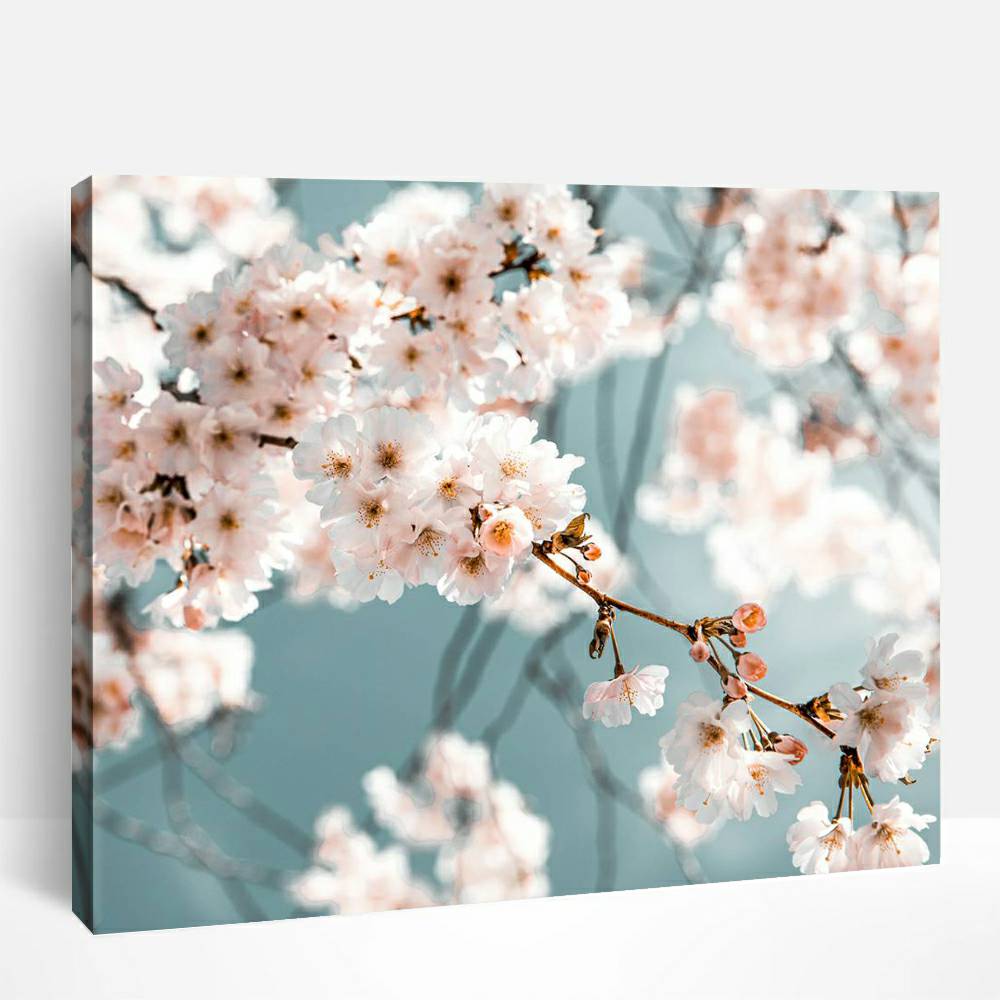 Blooming Peach Blossoms | Paint By Numbers