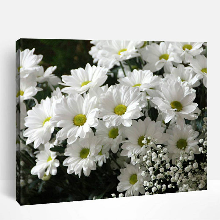 Clusters of white flowers | Paint By Numbers