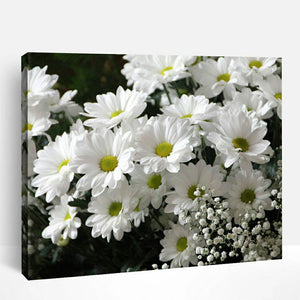 Clusters of White Flowers | Paint By Numbers