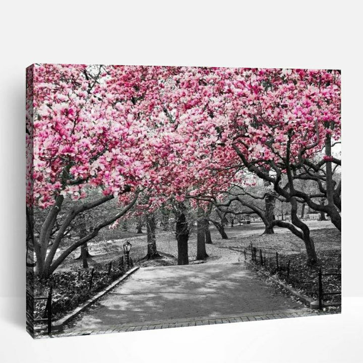 Pink Blossoms in Black and White | Paint By Numbers