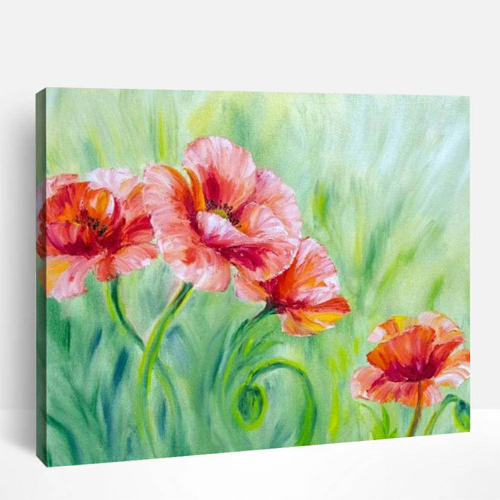 Summer Poppies | Paint By Numbers