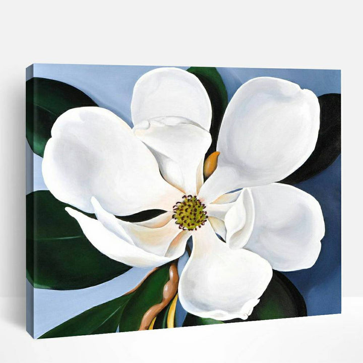 White Magnolia Flower | Paint By Numbers
