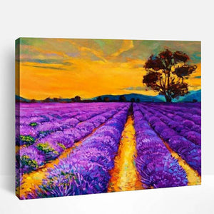 Lavender Field In Sunset | Paint By Numbers