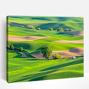 Palouse Morning | Paint By Numbers