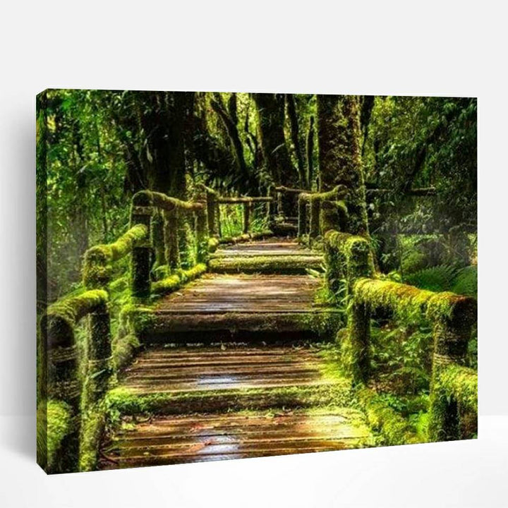 Rainforest Path | Paint By Numbers