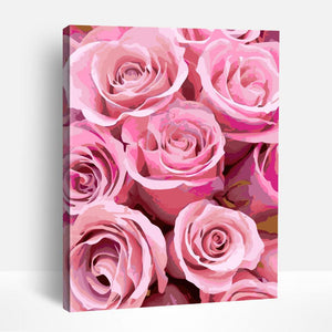 Pink Roses | Paint By Numbers