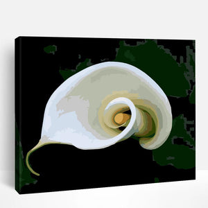 Calla Lily | Paint By Numbers