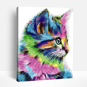 Colorful Kitten | Paint By Numbers