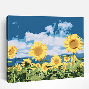 Sunflower Field | Paint By Numbers