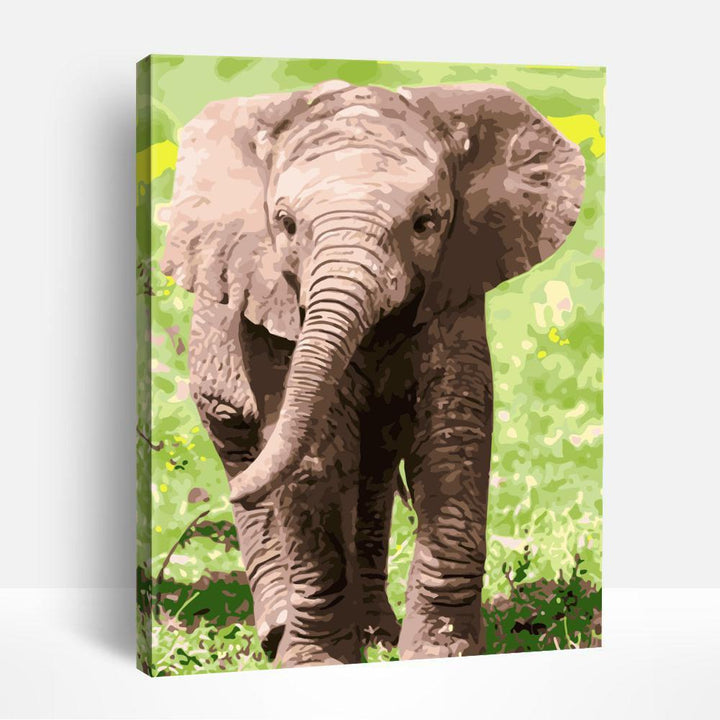 Animals | Paint By Numbers
