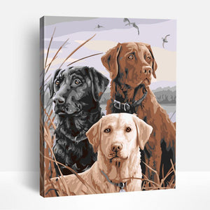 Puppy Trio | Paint By Numbers