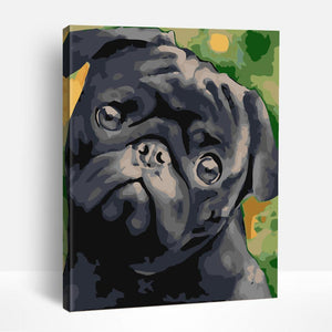 Cute Black Pug | Paint By Numbers