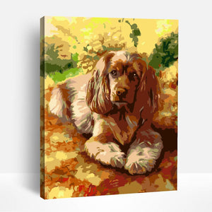 Dogs & Puppies | Paint By Numbers