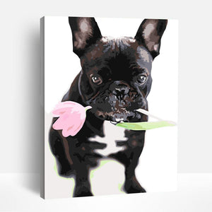 French Bulldog and Tulip | Paint By Numbers